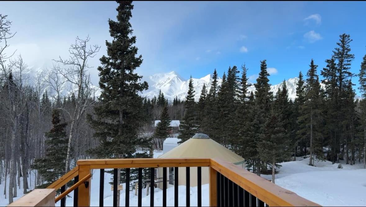 Mount Logan Ecolodge & Retreat Center Haines Junction Exterior photo